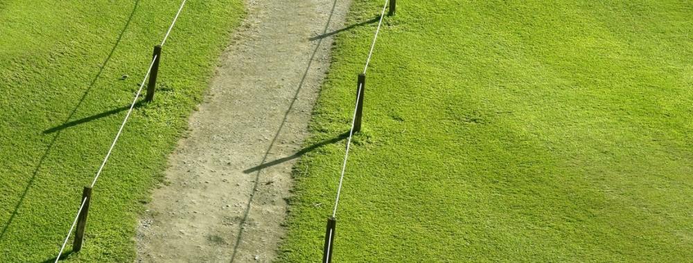 Green grass field meadow with winding road.jpg